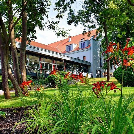 Arthotel Kiebitzberg Havelberg Dış mekan fotoğraf