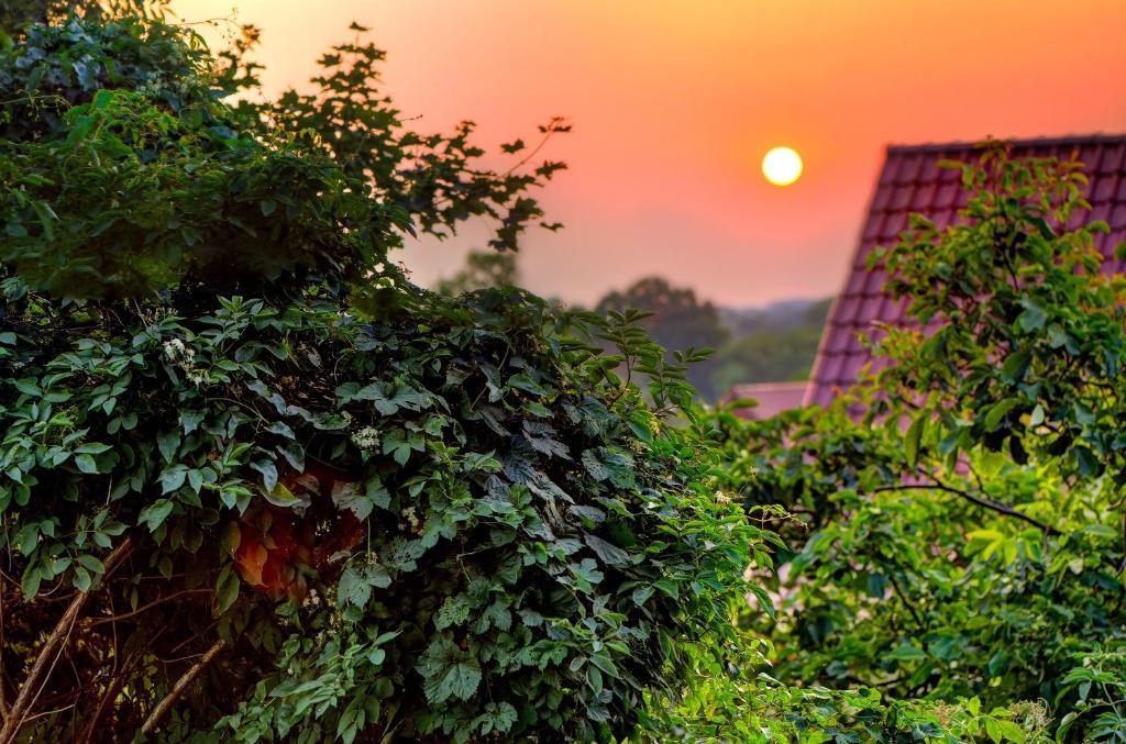 Arthotel Kiebitzberg Havelberg Dış mekan fotoğraf