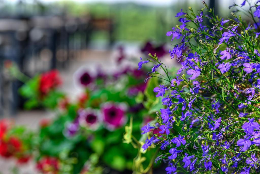 Arthotel Kiebitzberg Havelberg Dış mekan fotoğraf